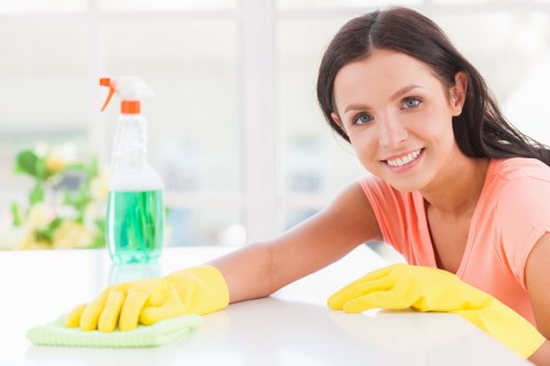Kingston Cleaners team performing domestic cleaning