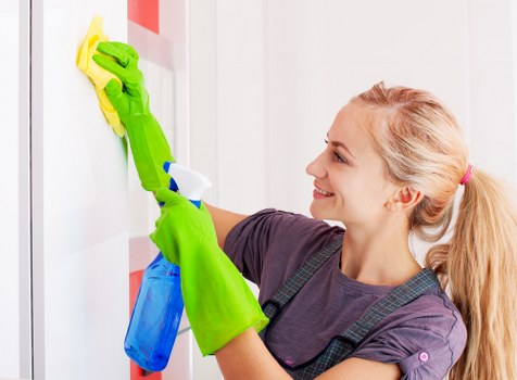 Professional upholstery cleaning in Kingston with skilled technician