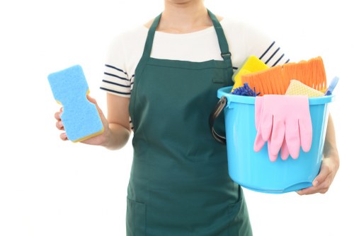 Eco-Friendly Cleaning Practices by Kingston Cleaners