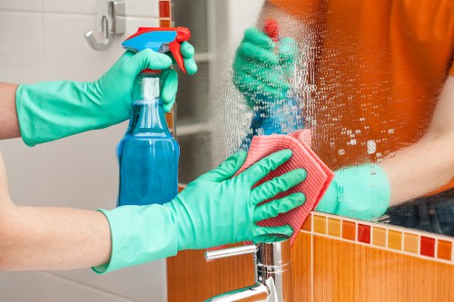 Additional domestic cleaning services offered