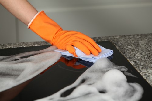 Eco-friendly oven cleaning by Kingston Cleaners