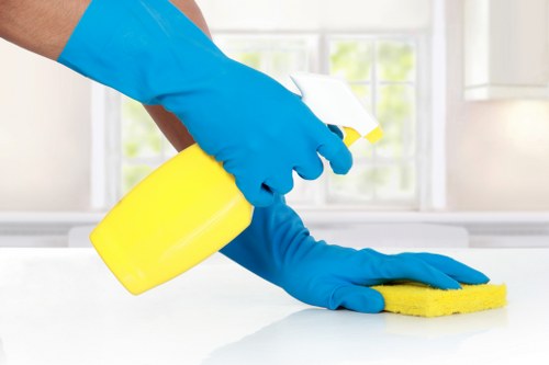 Kingston Cleaners deep cleaning tile and grout