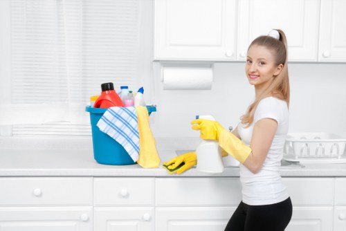 Professional carpet cleaning service in Kingston