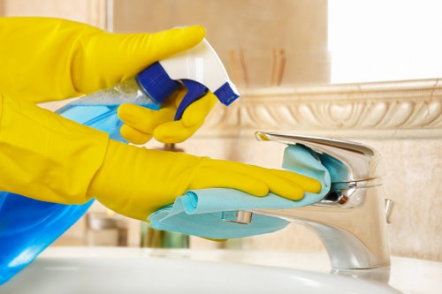 Professional cleaning team working on a building's exterior