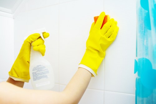 Kingston Cleaners using advanced steam cleaning equipment