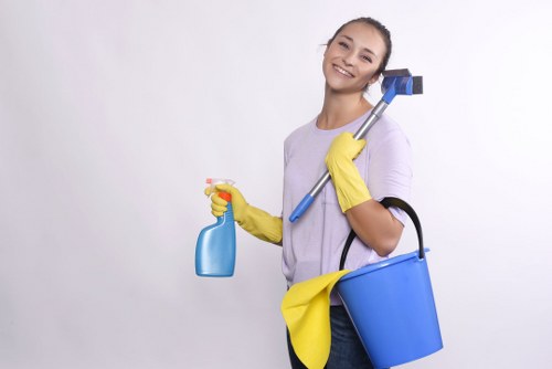 Kingston Cleaners staff performing detailed cleaning tasks