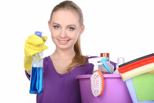 Eco-friendly cleaning products used by Kingston Cleaners