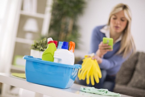 Sparkling clean residential windows